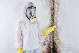 Best Water Damage & Mold Remediation  in Fairview, NC